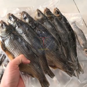 ca VOLBA ASTRAKHAN Nga tdexpress 1