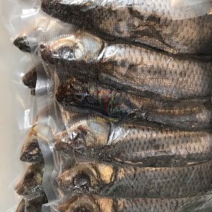 ca VOLBA ASTRAKHAN Nga tdexpress 2