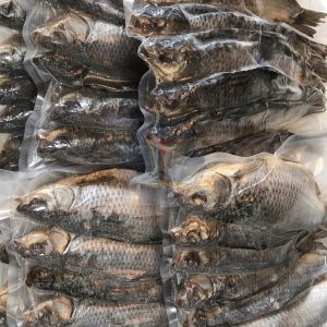 ca VOLBA ASTRAKHAN Nga tdexpress 3