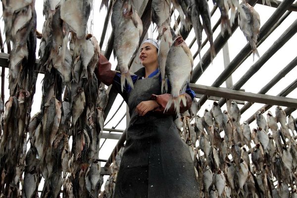 ca kho astrakhan bau vat cua dong song volga