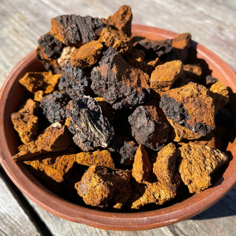 Nam Chaga Nga 2